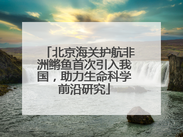 北京海关护航非洲鳉鱼首次引入我国，助力生命科学前沿研究
