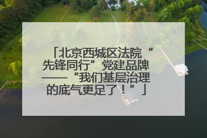 北京西城区法院“先锋同行”党建品牌——“我们基层治理的底气更足了！”