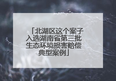 北湖区这个案子入选湖南省第三批生态环境损害赔偿典型案例