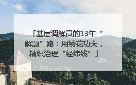 基层调解员的13年“解题”路：用绣花功夫，精织治理“经纬线”