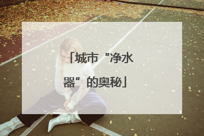 城市“净水器”的奥秘