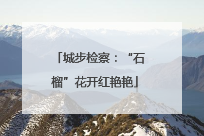 城步检察：“石榴”花开红艳艳