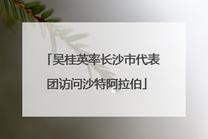 吴桂英率长沙市代表团访问沙特阿拉伯
