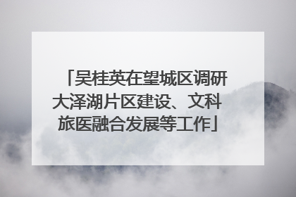 吴桂英在望城区调研大泽湖片区建设、文科旅医融合发展等工作