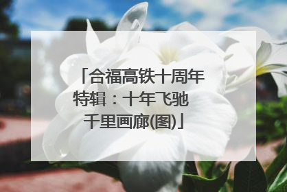 合福高铁十周年特辑：十年飞驰 千里画廊(图)
