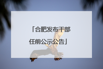 合肥发布干部任前公示公告