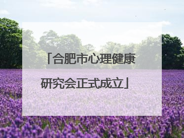 合肥市心理健康研究会正式成立