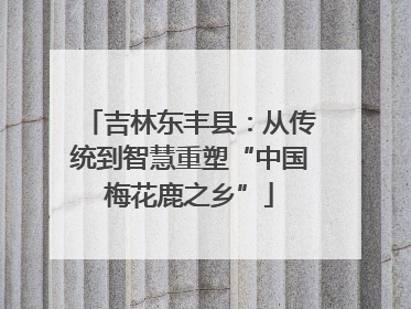 吉林东丰县：从传统到智慧重塑“中国梅花鹿之乡”