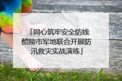 同心筑牢安全防线 醴陵市军地联合开展防汛救灾实战演练