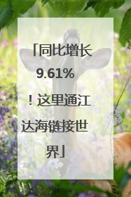 同比增长9.61%！这里通江达海链接世界