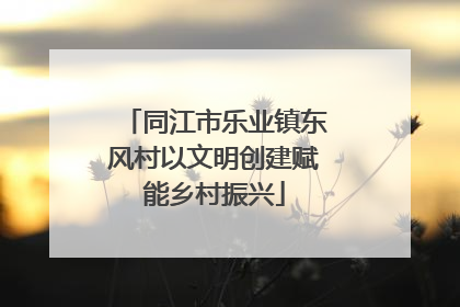 同江市乐业镇东风村以文明创建赋能乡村振兴