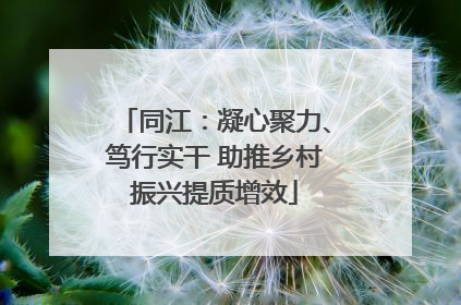 同江：凝心聚力、笃行实干 助推乡村振兴提质增效