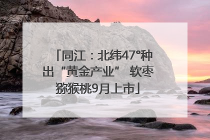 同江：北纬47°种出“黄金产业” 软枣猕猴桃9月上市