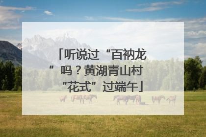 听说过“百衲龙”吗？黄湖青山村“花式”过端午
