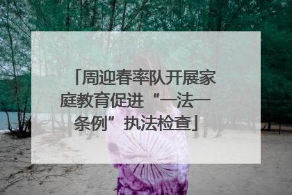 周迎春率队开展家庭教育促进“一法一条例”执法检查