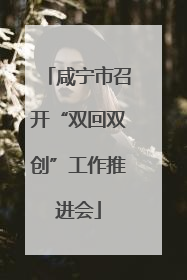 咸宁市召开“双回双创”工作推进会