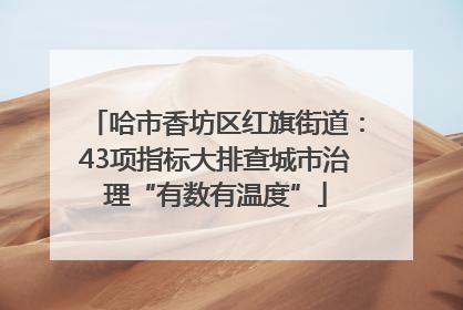 哈市香坊区红旗街道：43项指标大排查城市治理“有数有温度”