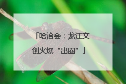 哈洽会：龙江文创火爆“出圈”