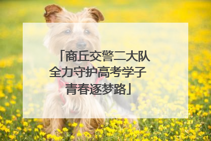 商丘交警二大队全力守护高考学子青春逐梦路