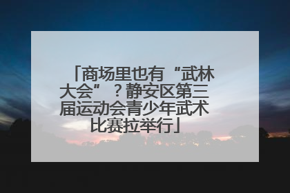 商场里也有“武林大会”？静安区第三届运动会青少年武术比赛拉举行