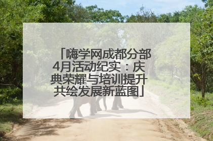 嗨学网成都分部4月活动纪实：庆典荣耀与培训提升共绘发展新蓝图