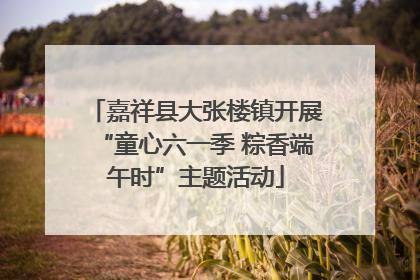 嘉祥县大张楼镇开展“童心六一季 粽香端午时”主题活动