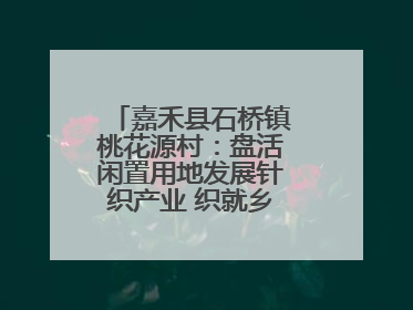 嘉禾县石桥镇桃花源村：盘活闲置用地发展针织产业 织就乡村振兴新图景