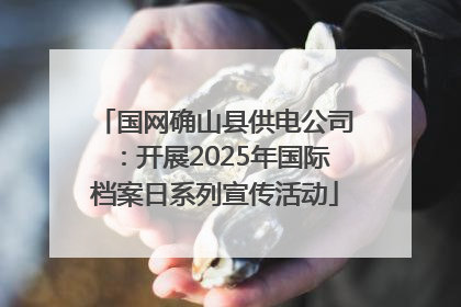 国网确山县供电公司：开展2025年国际档案日系列宣传活动