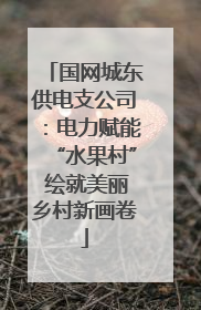 国网城东供电支公司：电力赋能“水果村” 绘就美丽乡村新画卷