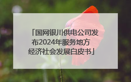 国网银川供电公司发布2024年服务地方经济社会发展白皮书
