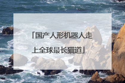 国产人形机器人走上全球最长猫道