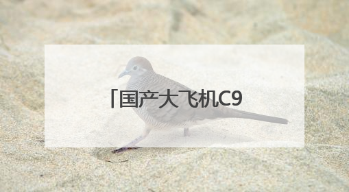 国产大飞机C919首飞厦门