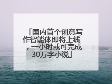 国内首个创意写作智能体即将上线，一小时或可完成30万字小说
