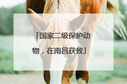 国家二级保护动物，在南昌获救