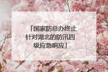 国家防总办终止针对湖北的防汛四级应急响应