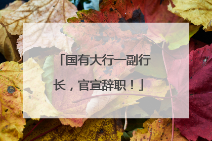 国有大行一副行长，官宣辞职！