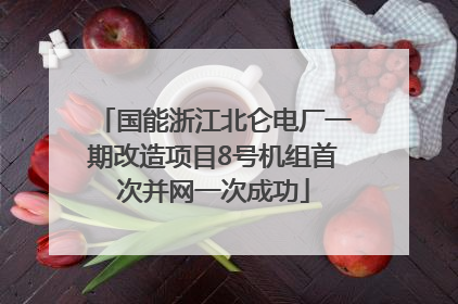 国能浙江北仑电厂一期改造项目8号机组首次并网一次成功