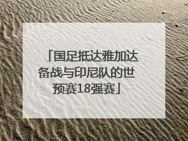 国足抵达雅加达备战与印尼队的世预赛18强赛