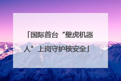 国际首台“壁虎机器人”上岗守护核安全