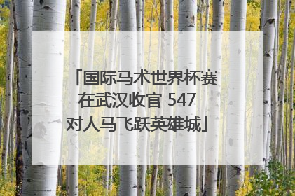 国际马术世界杯赛在武汉收官 547对人马飞跃英雄城