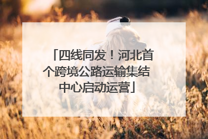 四线同发！河北首个跨境公路运输集结中心启动运营