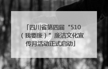 四川省第四届“510（我要廉）”廉洁文化宣传月活动正式启动