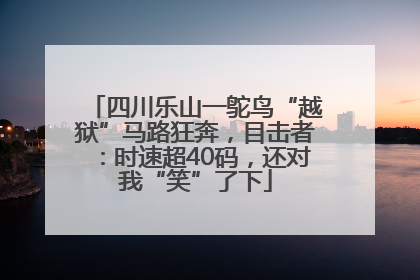 四川乐山一鸵鸟“越狱”马路狂奔，目击者：时速超40码，还对我“笑”了下
