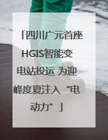 四川广元首座HGIS智能变电站投运 为迎峰度夏注入“电动力”
