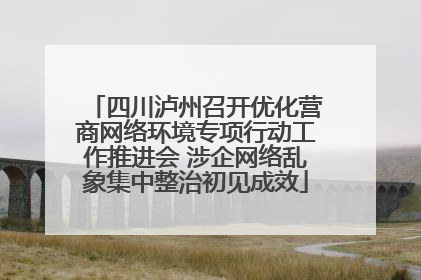 四川泸州召开优化营商网络环境专项行动工作推进会 涉企网络乱象集中整治初见成效
