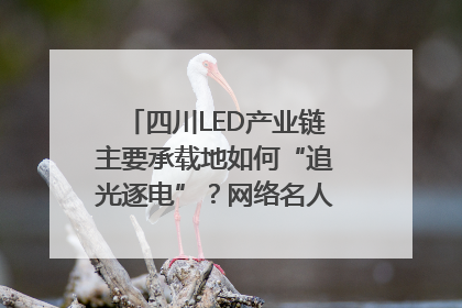 四川LED产业链主要承载地如何“追光逐电”？网络名人走进攀枝花找答案｜网络名人四川行