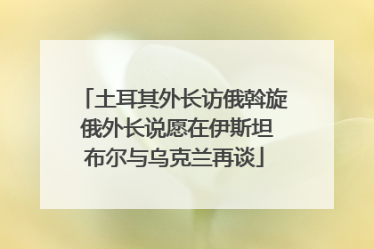 土耳其外长访俄斡旋 俄外长说愿在伊斯坦布尔与乌克兰再谈