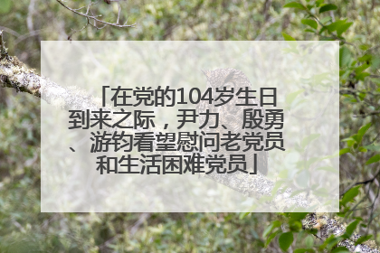 在党的104岁生日到来之际，尹力、殷勇、游钧看望慰问老党员和生活困难党员