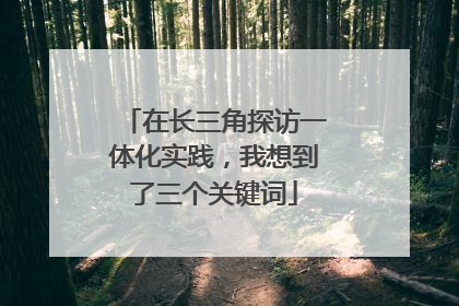 在长三角探访一体化实践，我想到了三个关键词