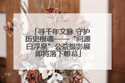 寻千年文脉 守护历史根魂——“问源白浮泉”公益摄影展即将落下帷幕